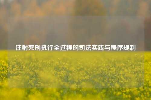 注射死刑执行全过程的司法实践与程序规制
