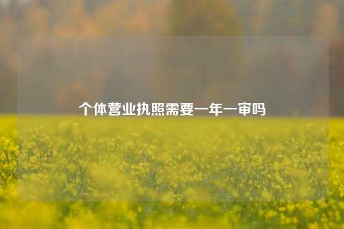 个体营业执照需要一年一审吗